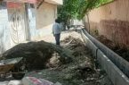 تداوم اجرای طرحهای عمرانی در شهر دماوند/ احداث دیوار حائل در بلوار شهید بهشتی حدفاصل آتشنشانی تا اداره محیط زیست دماوند تداوم اجرای طرحهای عمرانی در شهر دماوند/ احداث دیوار حائل در بلوار شهید بهشتی حدفاصل آتشنشانی تا اداره محیط زیست دماوند