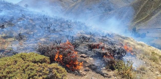 اطفای حریق در مراتع چمنداب روستای هویر با تلاش محیط بانان و افراد بومی