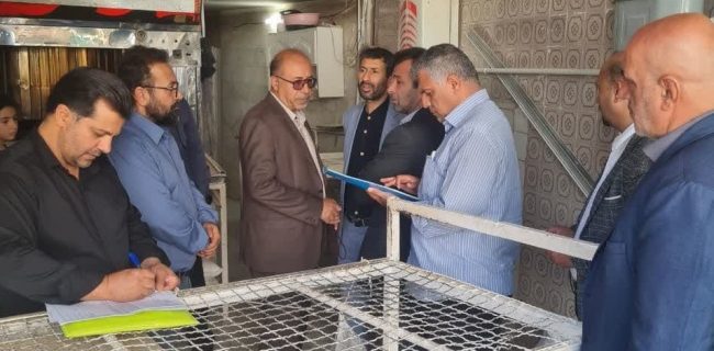 برگزاری گشت مشترک بازرسی از نانوایی‌های دماوند و گیلاوند/ ۶ واحد نانوایی به‌دلیل ارتکاب تخلفات با تشکیل پرونده به اداره تعزیرات حکومتی معرفی شدند