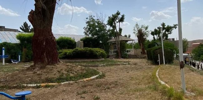 بوستان محله مرانک در مسیر نابودی؛ مدیریت شهری شهرداری آبسرد تا کی بی‌توجه خواهد ماند؟
